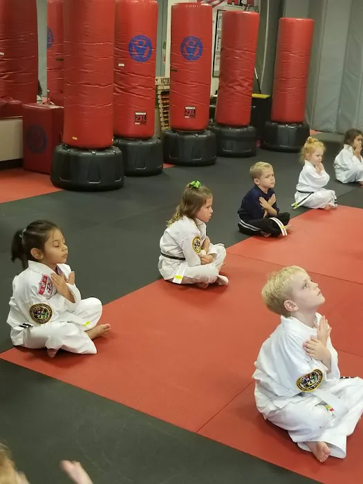 Victory Martial Arts Picture 6