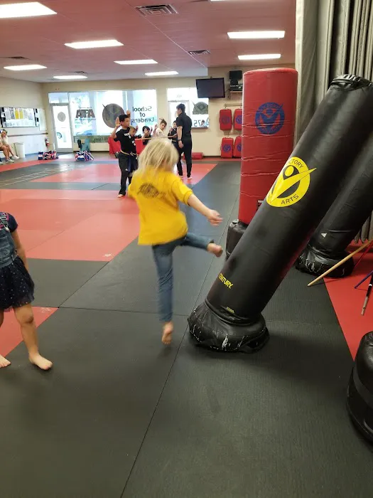 Victory Martial Arts Picture 8