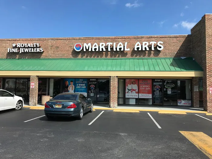 Level 10 Martial Arts College Picture 1