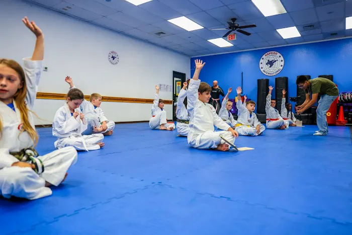 TOP Martial Arts Palm Harbor Picture 6