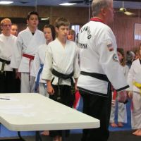 Dunedin Taekwondo Academy ico