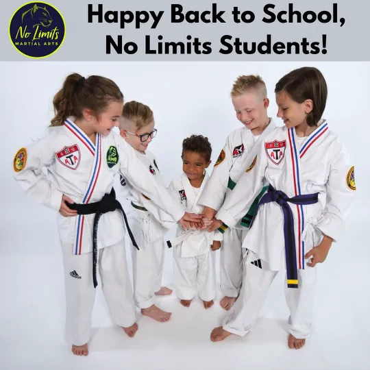 No Limits ATA Martial Arts Palm Harbor Picture 1