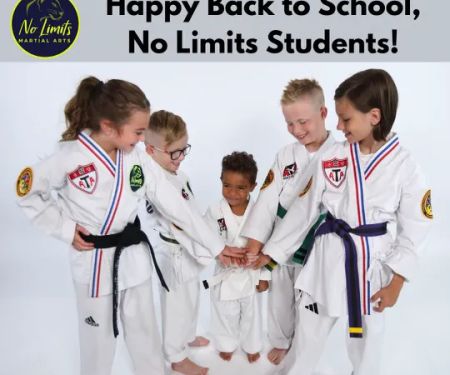 No Limits ATA Martial Arts Palm Harbor