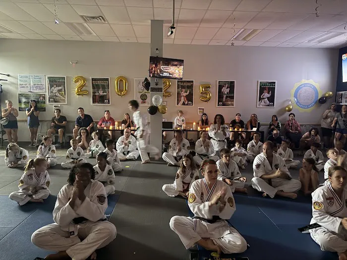 No Limits ATA Martial Arts Palm Harbor Picture 5