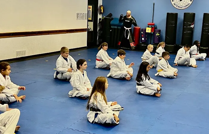 TOP Martial Arts Clearwater Picture 10