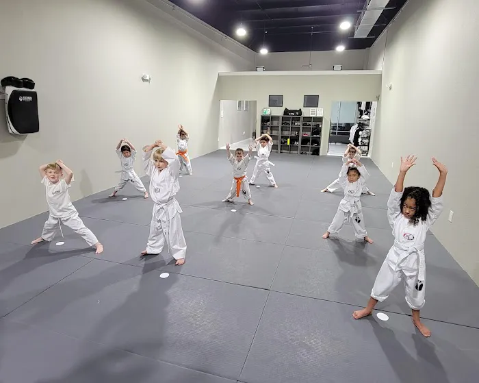 PLATINUM MARTIAL ARTS KICKBOXING TRINITY Picture 4