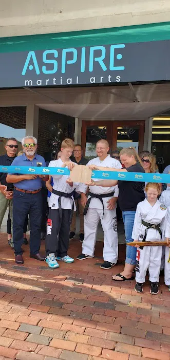 Aspire Martial Arts Picture 9