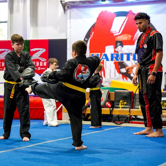 Haritos Martial Arts Picture 6