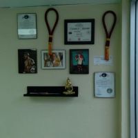 Koh Muay Thai - New Port Richey ico