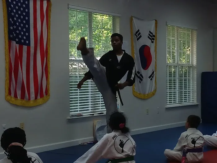 Pro Taekwondo Picture 1