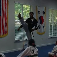 Pro Taekwondo ico