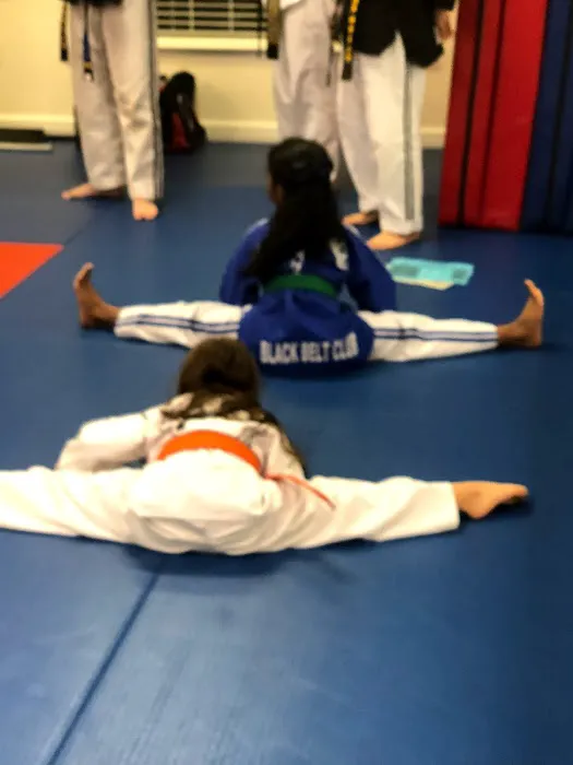 Pro Taekwondo Picture 3