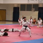 Tiger Cho's World Class Taekwondo