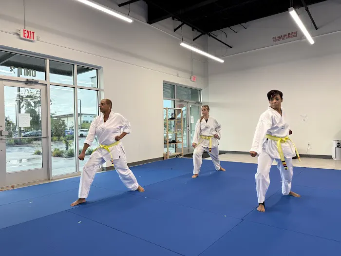 Tiger Cho's World Class Taekwondo Picture 9