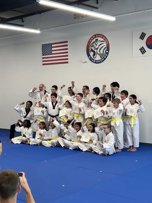 Tiger Cho's World Class Taekwondo Picture 4