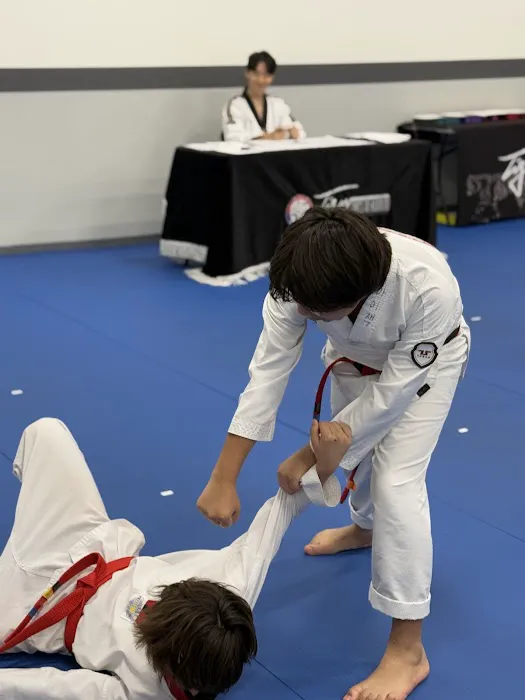 Tiger Cho's World Class Taekwondo Picture 6