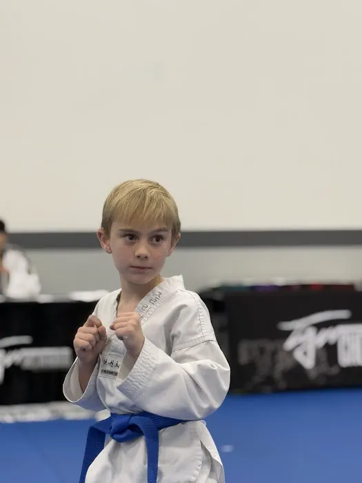 Tiger Cho's World Class Taekwondo Picture 8