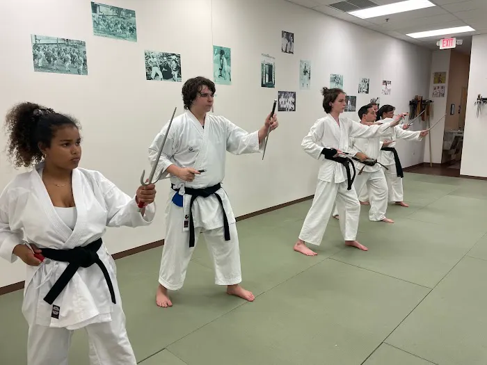Ingram's Okinawan Karate Picture 3