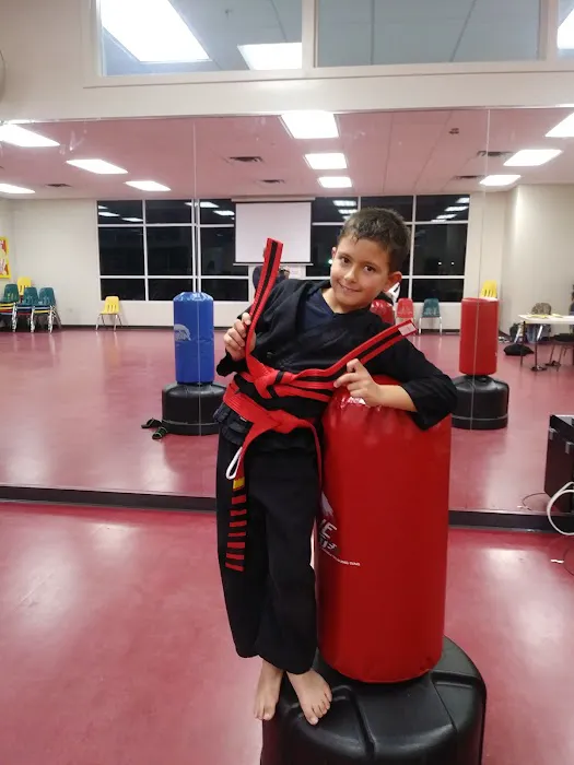 Tarpon Springs Martial Arts Picture 9