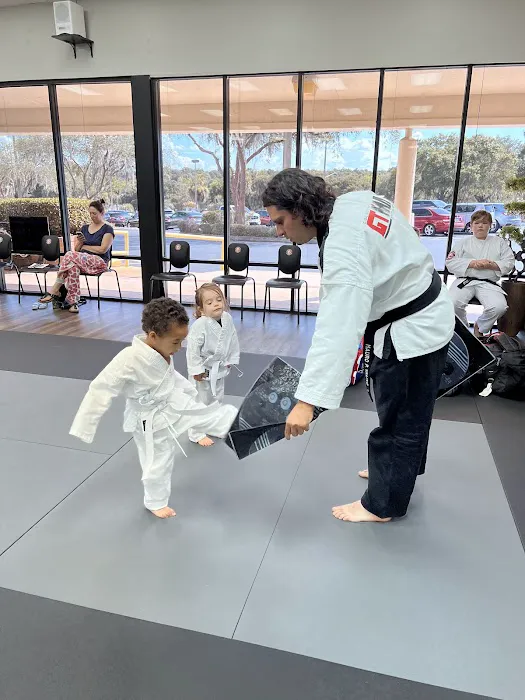American Martial Arts Picture 1