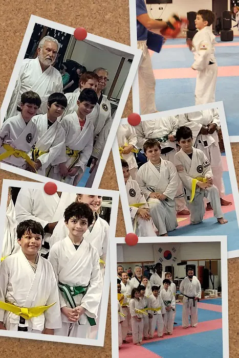 ADVANCE! Martial Arts Picture 4