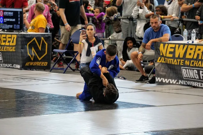 Palm Martial Arts Academy Picture 4