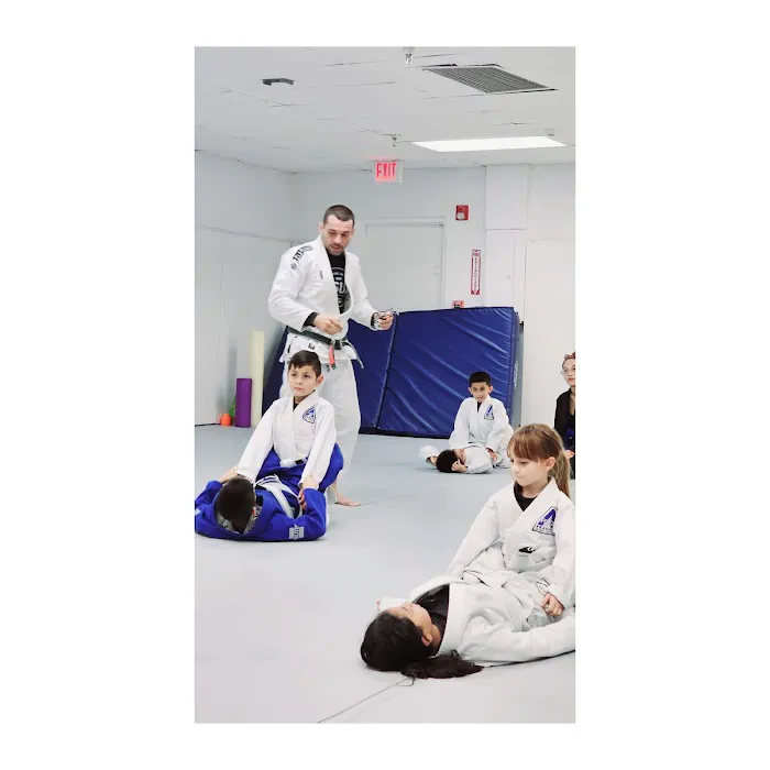 Palm Martial Arts Academy Picture 7