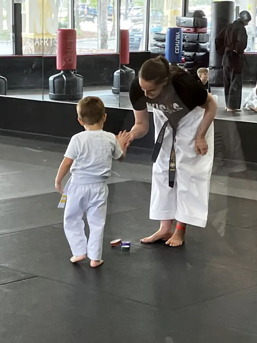 KICKS Martial Arts Picture 3