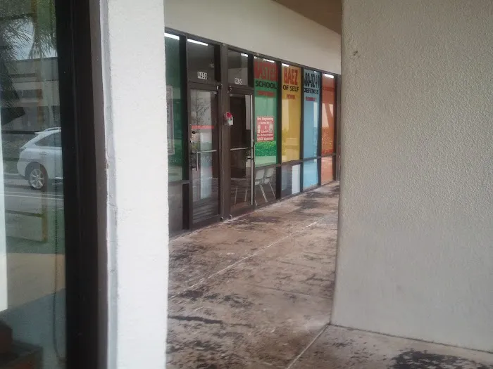 Master Baez Martial Arts | Taekwondo & Kids After School Program – Cooper City Picture 4