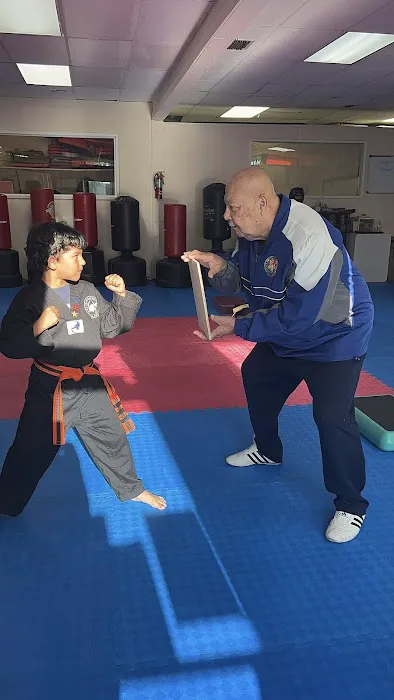 Master Baez Martial Arts | Taekwondo & Kids After School Program – Cooper City Picture 6