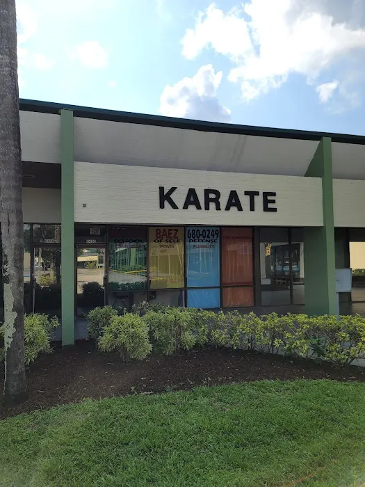 Master Baez Martial Arts | Taekwondo & Kids After School Program – Cooper City Picture 8