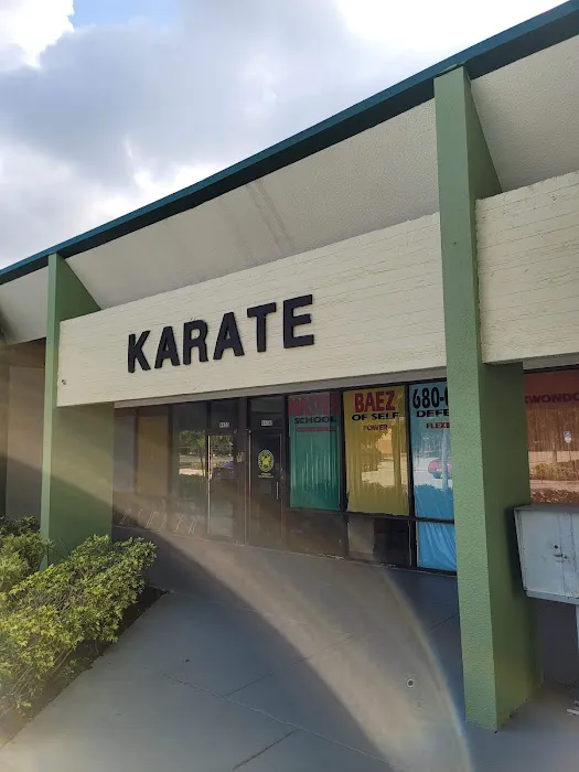 Master Baez Martial Arts | Taekwondo & Kids After School Program – Cooper City Picture 9