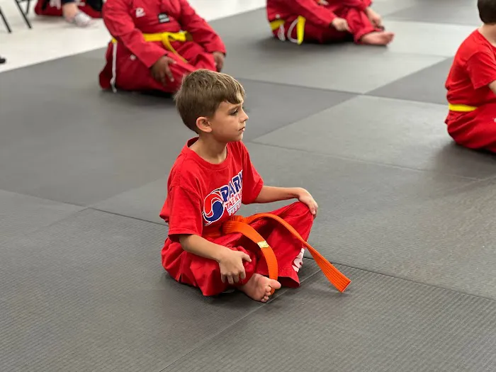Parks Taekwondo Federation - Pembroke Pines Picture 10