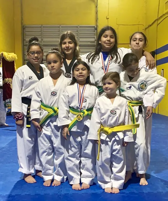 Rod's Martial Arts Hollywood Davie Karate Picture 4