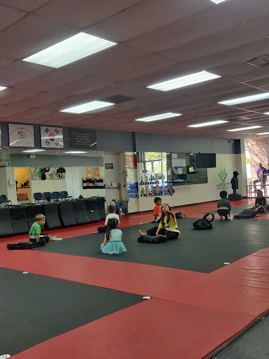 Karate America - Plantation Picture 6