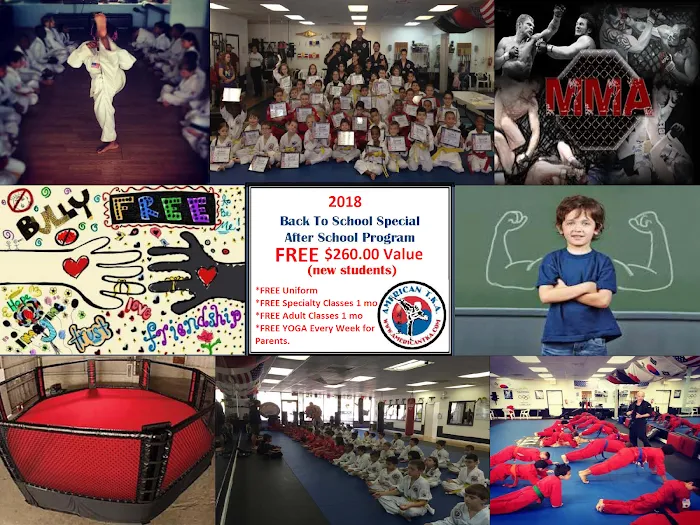 American TKA Martial Arts Picture 9