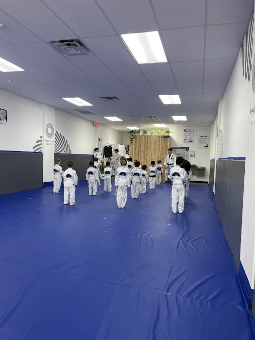 START Jiu Jitsu WEST PINES Picture 8
