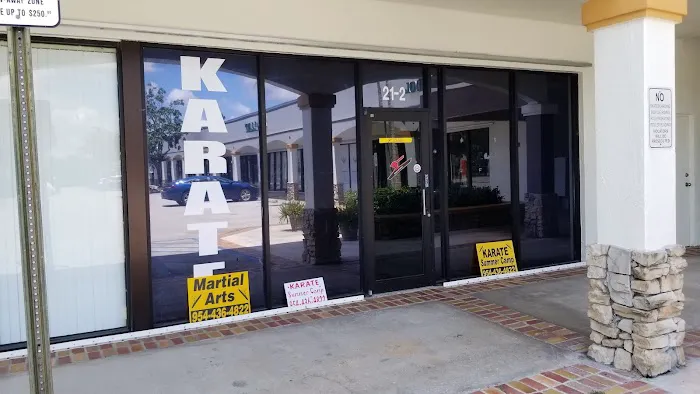 Power and Glory Karate Picture 7