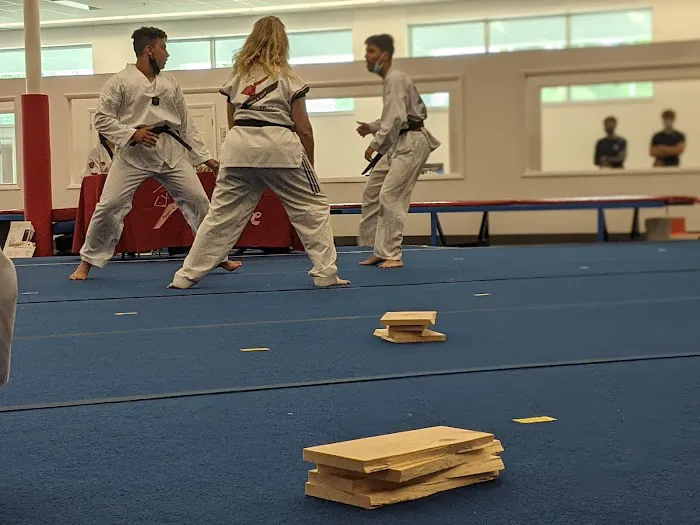 Power and Glory Karate Picture 10