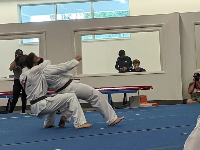 Power and Glory Karate Picture 9