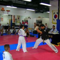Chung's Tae Kwon Do ico