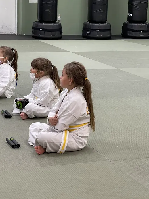 Premier Martial Arts Weston Picture 9