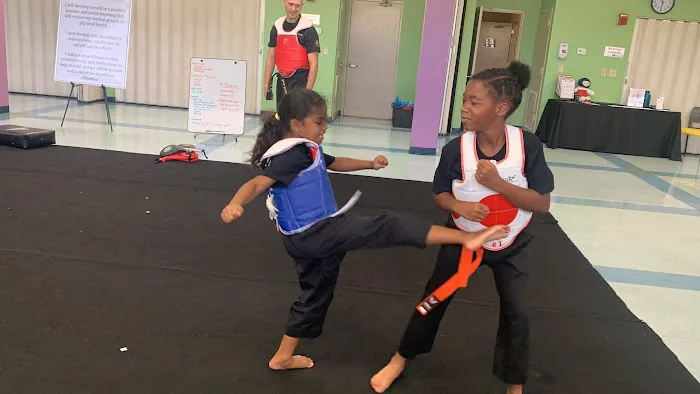 Street Ninja Karate Picture 2