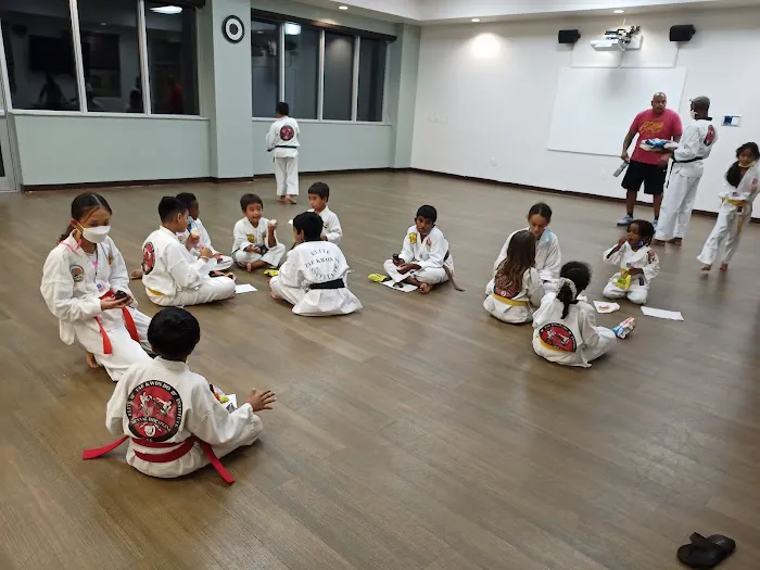 Elite Taekwondo Institute Picture 1