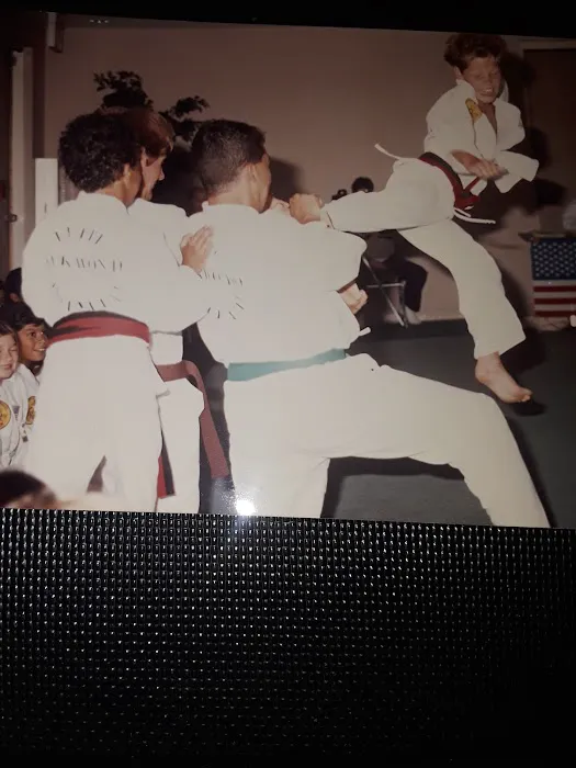 Elite Taekwondo Institute Picture 6