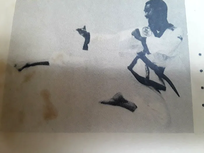 Elite Taekwondo Institute Picture 3