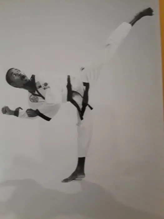 Elite Taekwondo Institute Picture 2