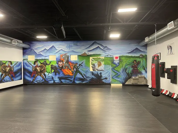 MY VLMA Martial Arts Center Drakulic Picture 1