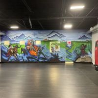 MY VLMA Martial Arts Center Drakulic ico