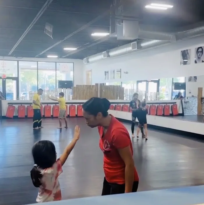 MY VLMA Martial Arts Center Drakulic Picture 4